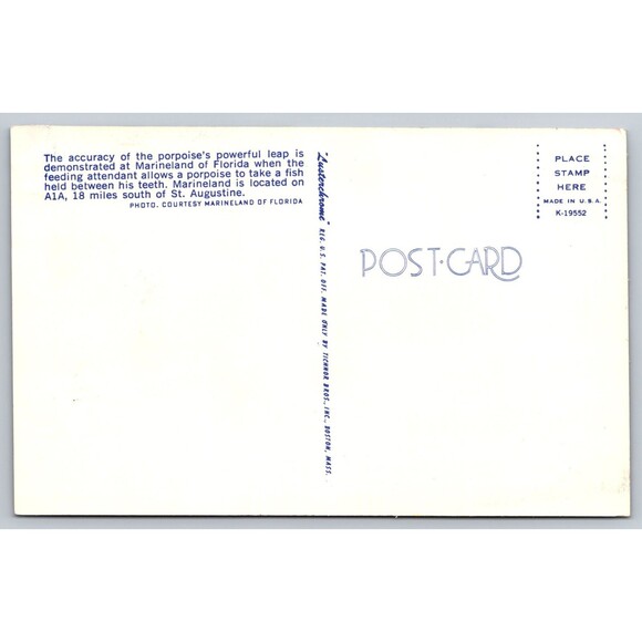 Postcard Florida St. Augustine Marineland Porpoise Dolphin c1960s FL Fish VTG - Picture 2 of 2